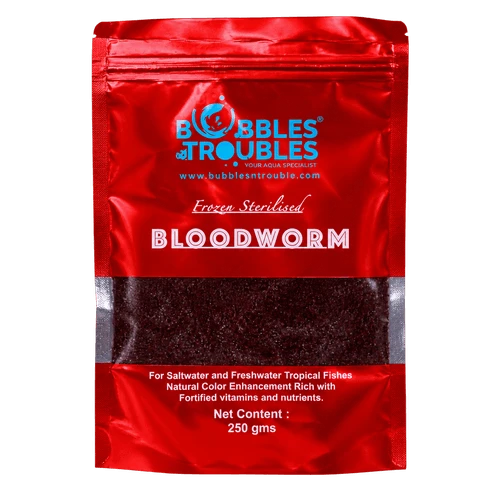 Bloodworms